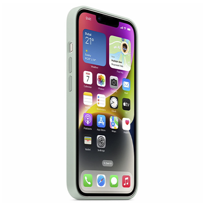 Чехол iPhone 14 Silicone Magsafe Succulent