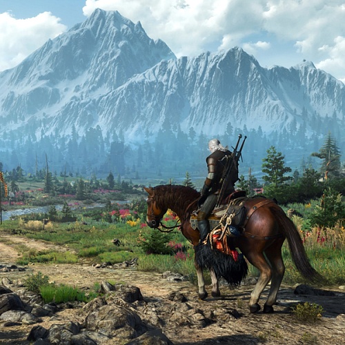 Игра для PS5 Ведьмак 3 (Rus)