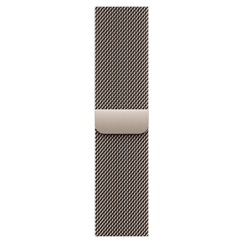 Apple Watch Series 11, 46 мм, корпус из титана, Titanium Milanese Loop натуральный