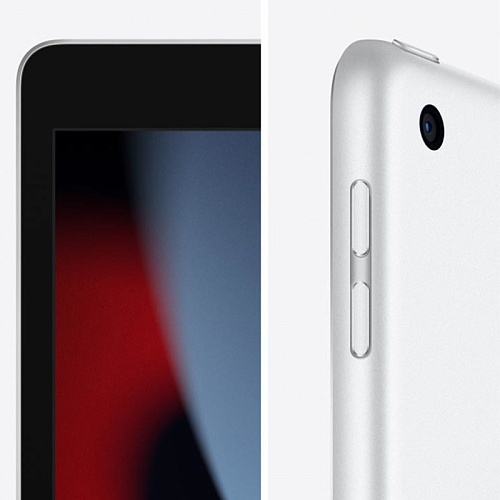 iPad (2021) 10,2 дюйма, Wi-Fi, 64 ГБ, серебристый