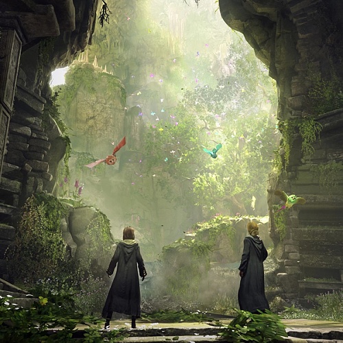 Игра для PS5 Hogwarts Legacy