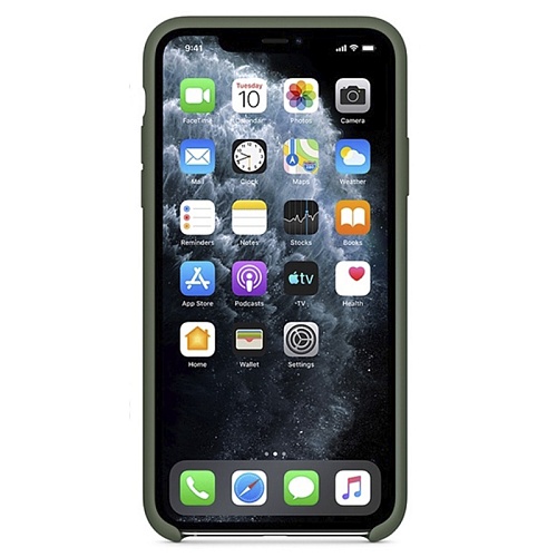 Чехол iPhone 11 Silicone Pine Green