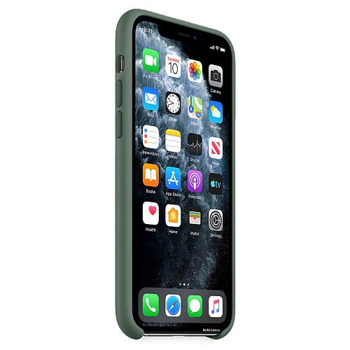 Чехол iPhone 11 Silicone Pine Green
