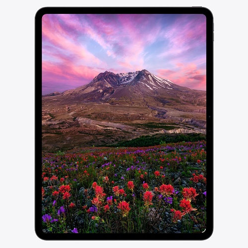 iPad Pro (2025), 11 Дюймов, 256 ГБ, Wi-Fi, черный космос