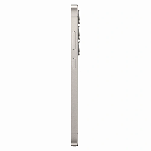 Samsung Galaxy S25 Ultra, 12/256 ГБ, серый титан