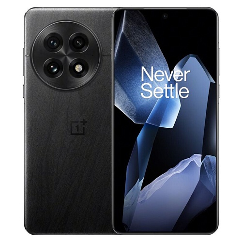 OnePlus 13, 12 ГБ, 256 ГБ,  черный