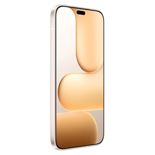 Honor 600 Lite, 8/256 ГБ, пустынный золотой (2sim + eSim)