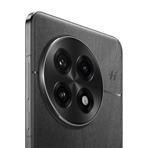 OnePlus 13, 12 ГБ, 256 ГБ,  черный