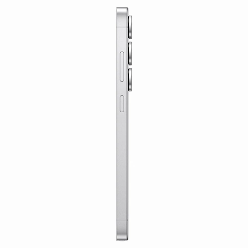 Samsung Galaxy S25 Ultra, 12/256 ГБ, серебряный титан