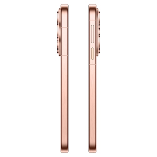 Huawei Pura 80, 12/256 ГБ, золотой (2sim)