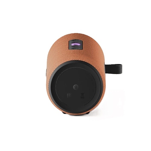 Яндекс Станция Стрит, оранжевый