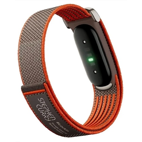 Фитнес Браслет Google Fitbit Air Obsidan, коричневый