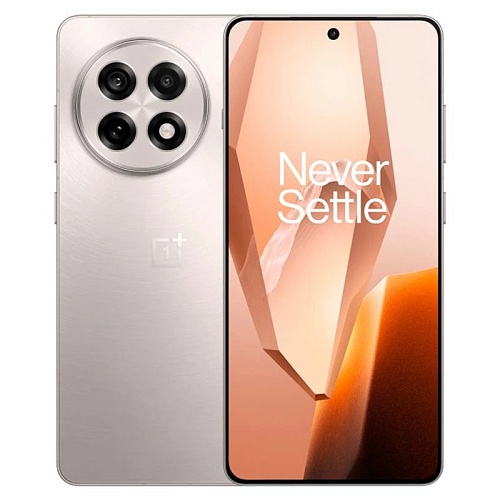 OnePlus 13R, 16 ГБ, 256 ГБ,  серебристый