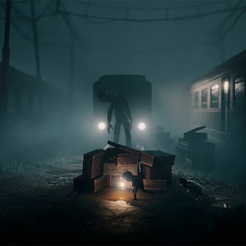 Игра для PS5 Reanimal