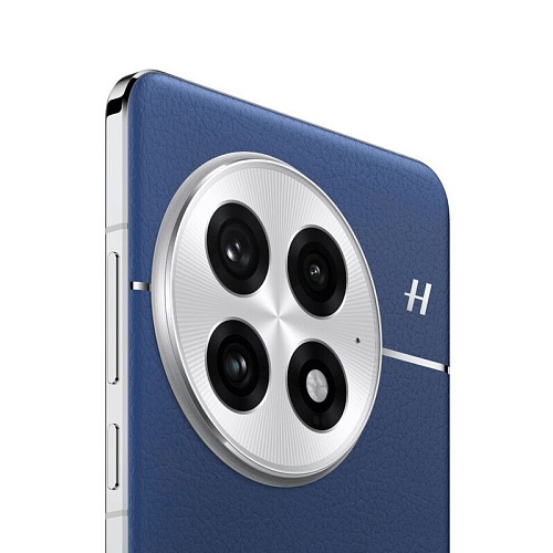 OnePlus 13, 12 ГБ, 256 ГБ,  синий