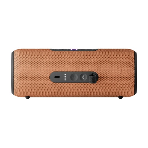 Яндекс Станция Стрит, оранжевый