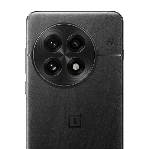 OnePlus 13, 12 ГБ, 256 ГБ,  черный