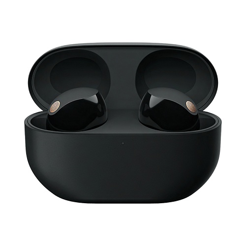 Беспроводные наушники Sony WF-1000XM5, Черный