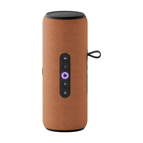 Яндекс Станция Стрит, оранжевый